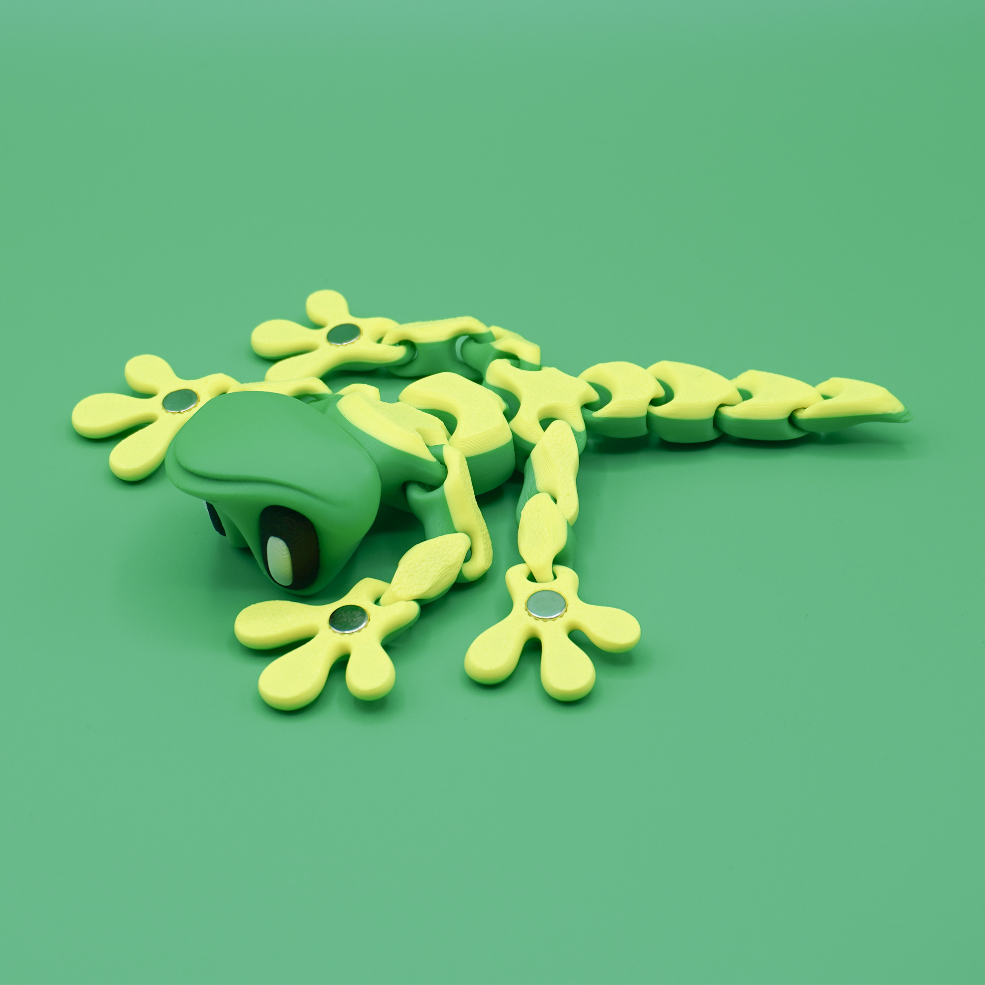 Gecko – Bild 4