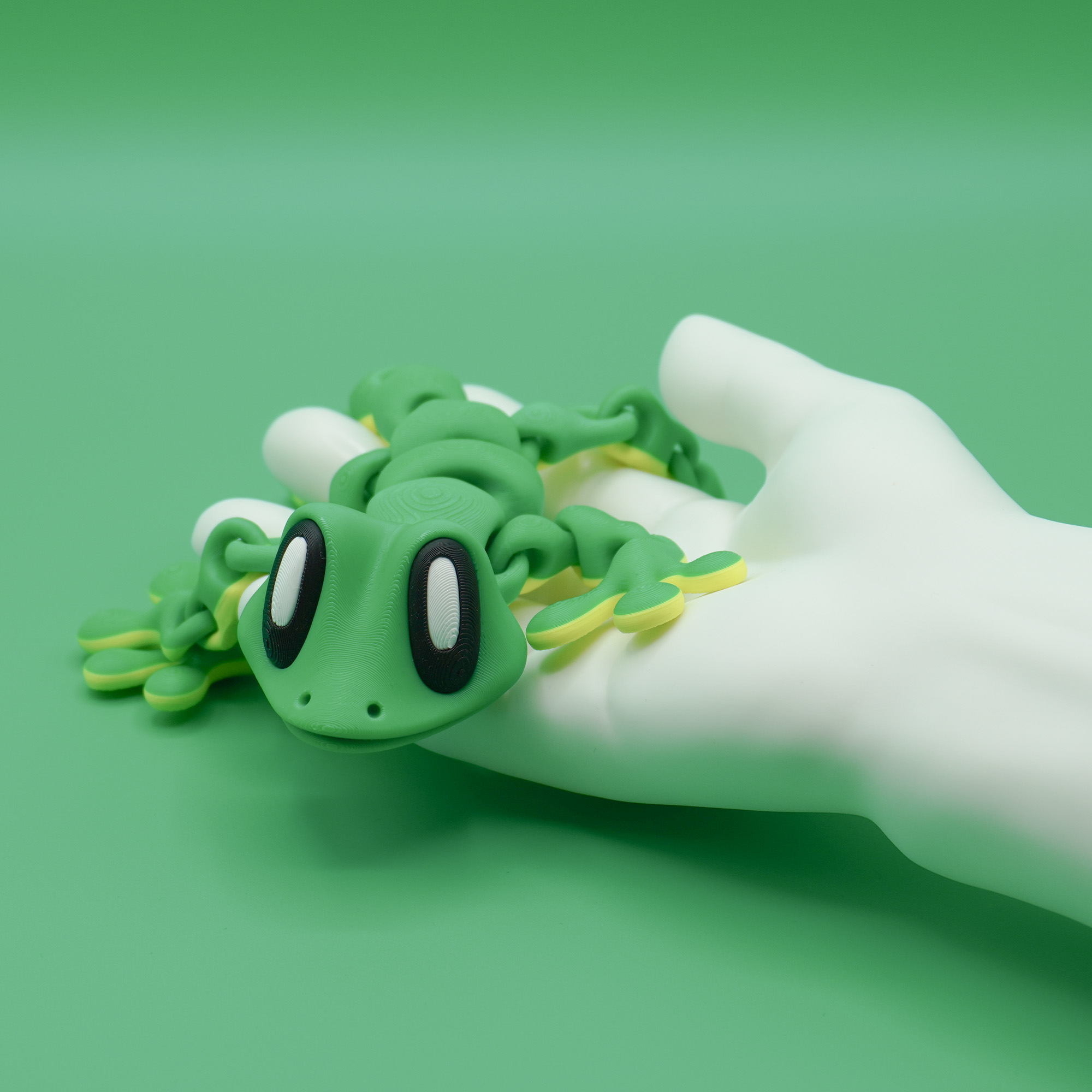 Gecko – Bild 5